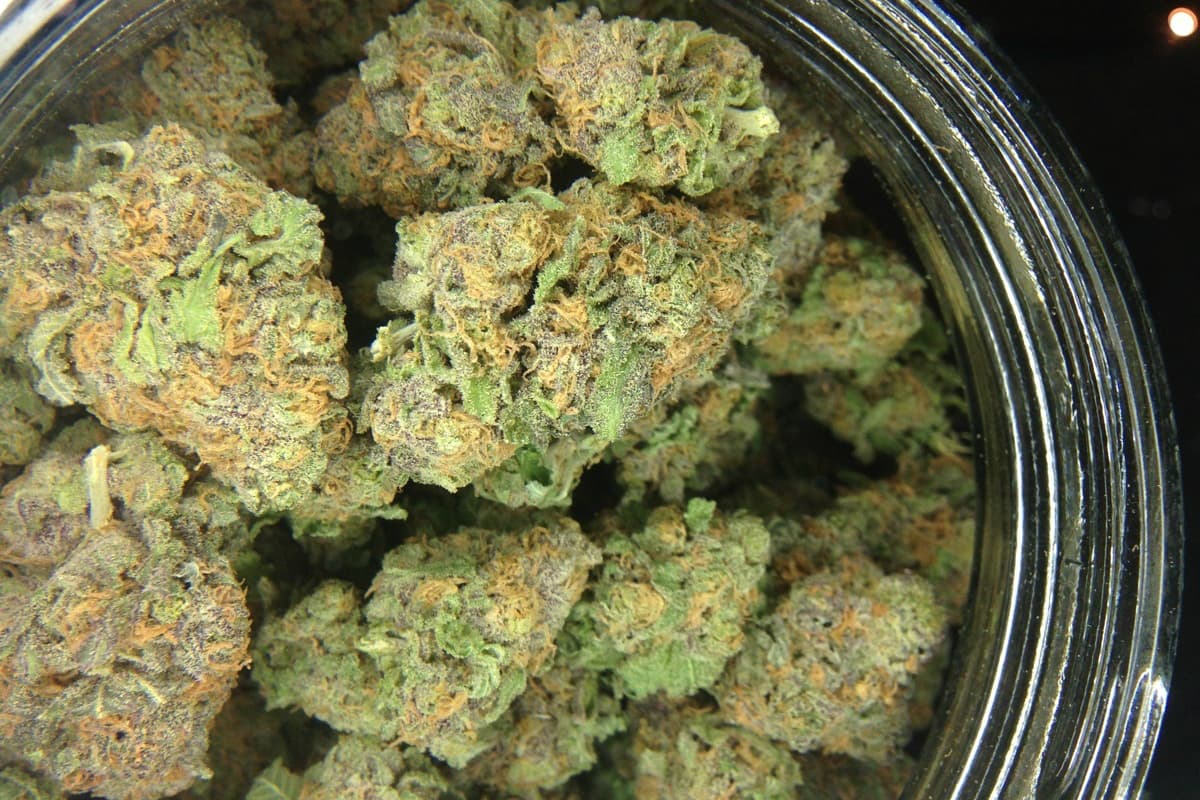 Hempli – Dein Premium-Cannabis-Shop für THCA in Deutschland