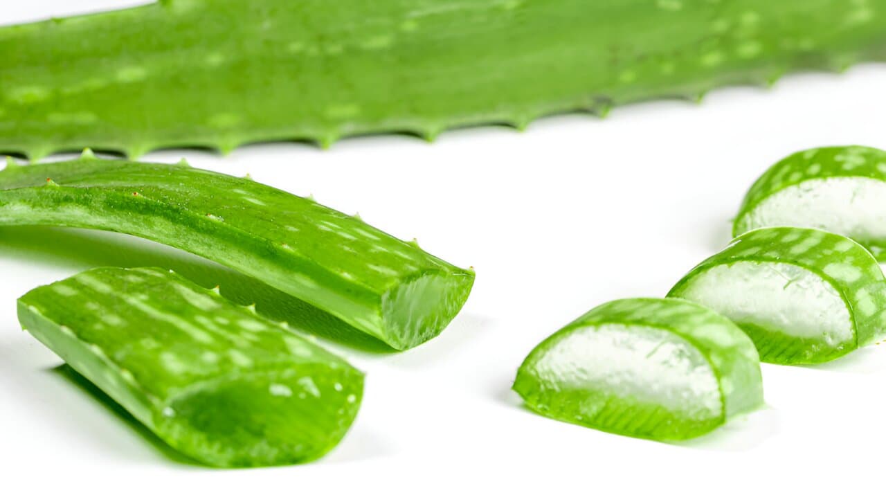 Forever Living Aloe Vera: Ihre vertrauenswürdige Quelle für natürliche Güte