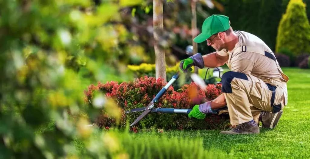 Maßgeschneiderte Projekte für Haus &amp; Garten dank Pflasterarbeiten Braunschweig