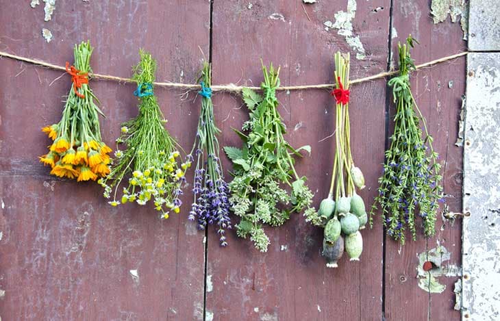 Kreative Ideen: Blumen trocknen für nachhaltige Dekorationen