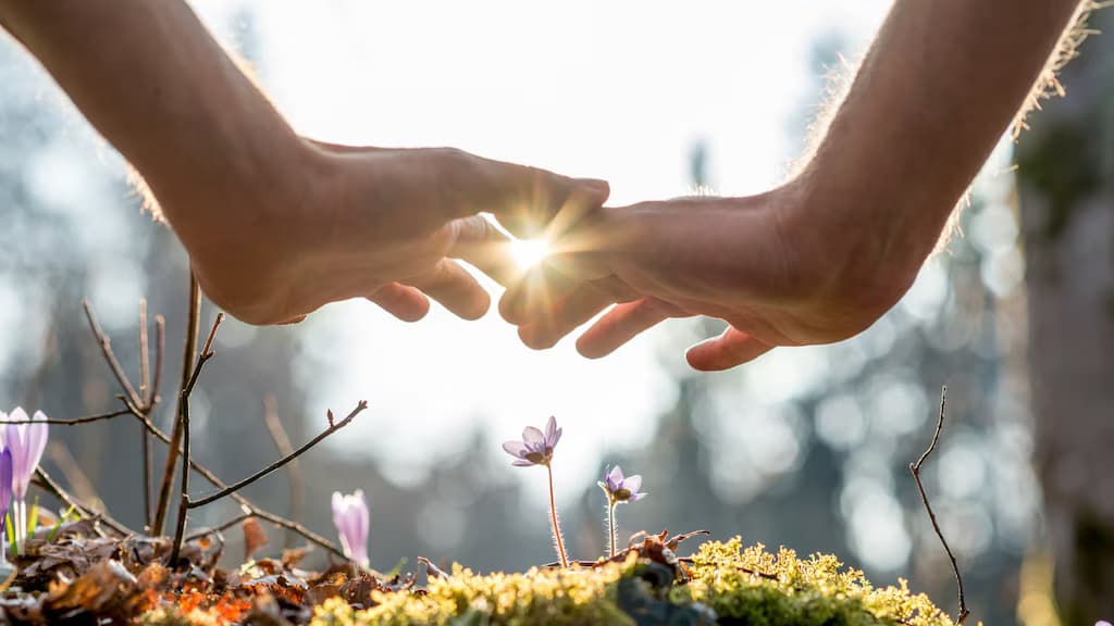 Die tropische Astrologie: Ein Einblick in den Tierkreis und seine symbolische Bedeutung