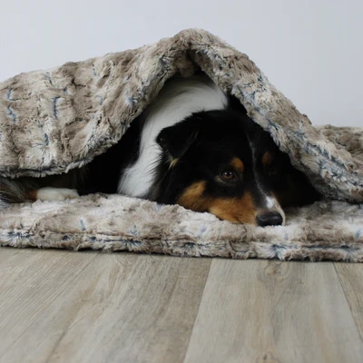 Handgefertigte Qualität für die Kuschelträume deines Hundes: Unser AirleXX!