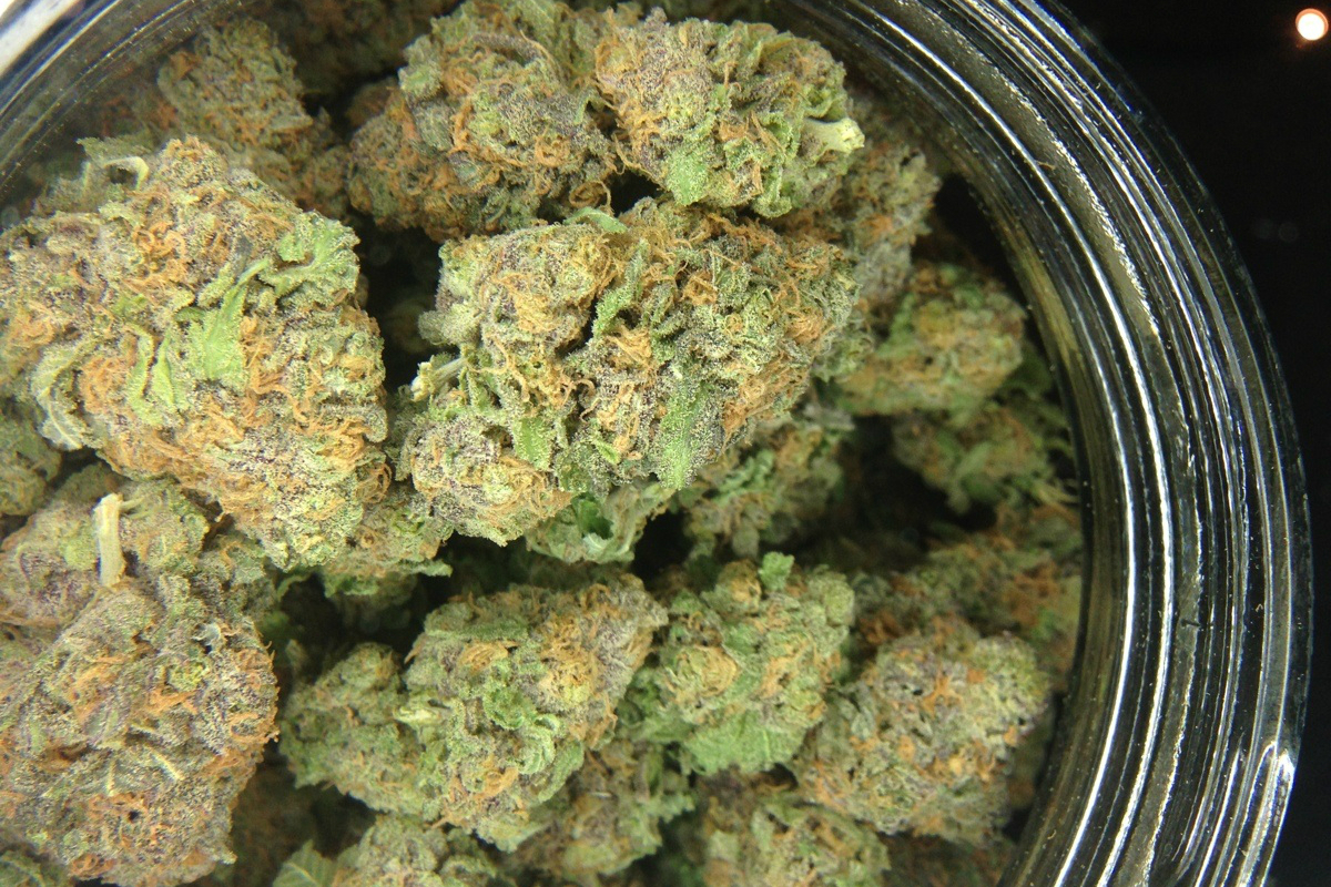 Hempli – Dein Premium-Cannabis-Shop für THCA in Deutschland