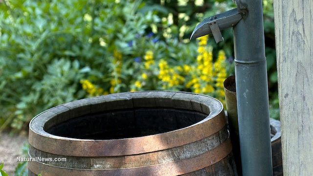 All4Water: Ihr Online-Ziel für Regenmanager und Hauswasserwerk-Ersatzteile