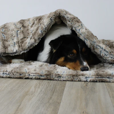 Handgefertigte Qualität für die Kuschelträume deines Hundes: Unser AirleXX!