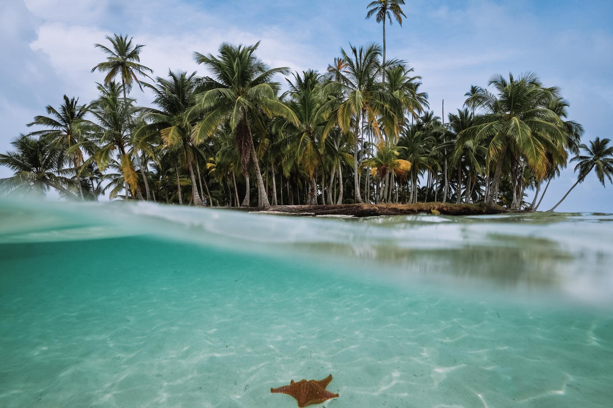 San Blas Inseln Tagestouren: Die Besten Tipps für Ihre Reise zu den Trauminseln in Panama