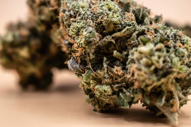 Warum THCA Blüten legal sind und was du darüber wissen solltest