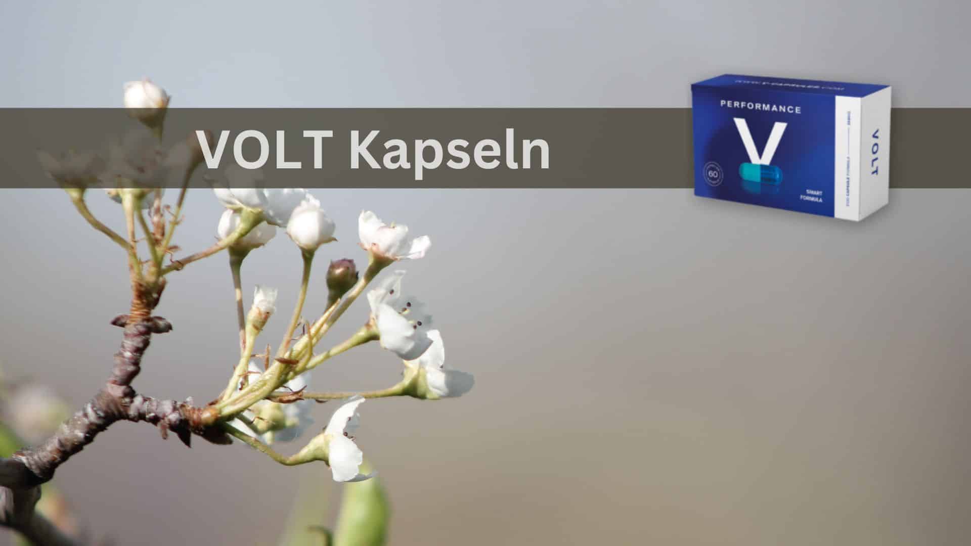 Die durchschlagende Wirkung von Volt Kapseln auf die männliche Leistungsfähigkeit