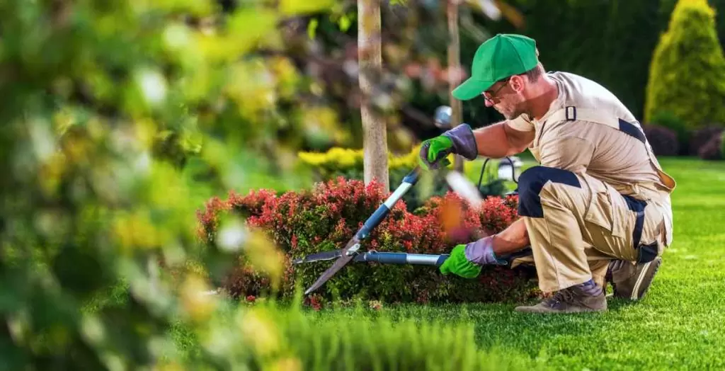 Maßgeschneiderte Projekte für Haus &amp; Garten dank Pflasterarbeiten Braunschweig