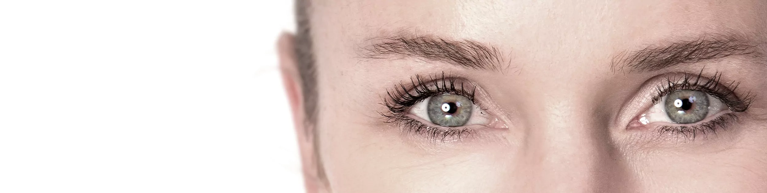 Wimpernverlängerung mit Zola краска – Brillante Farben, langer Halt