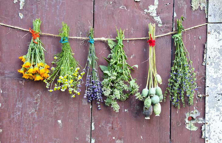 Kreative Ideen: Blumen trocknen für nachhaltige Dekorationen
