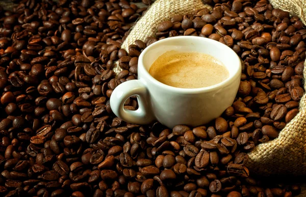 Kolumbianischer Kaffee: Wo Leidenschaft auf Perfektion trifft