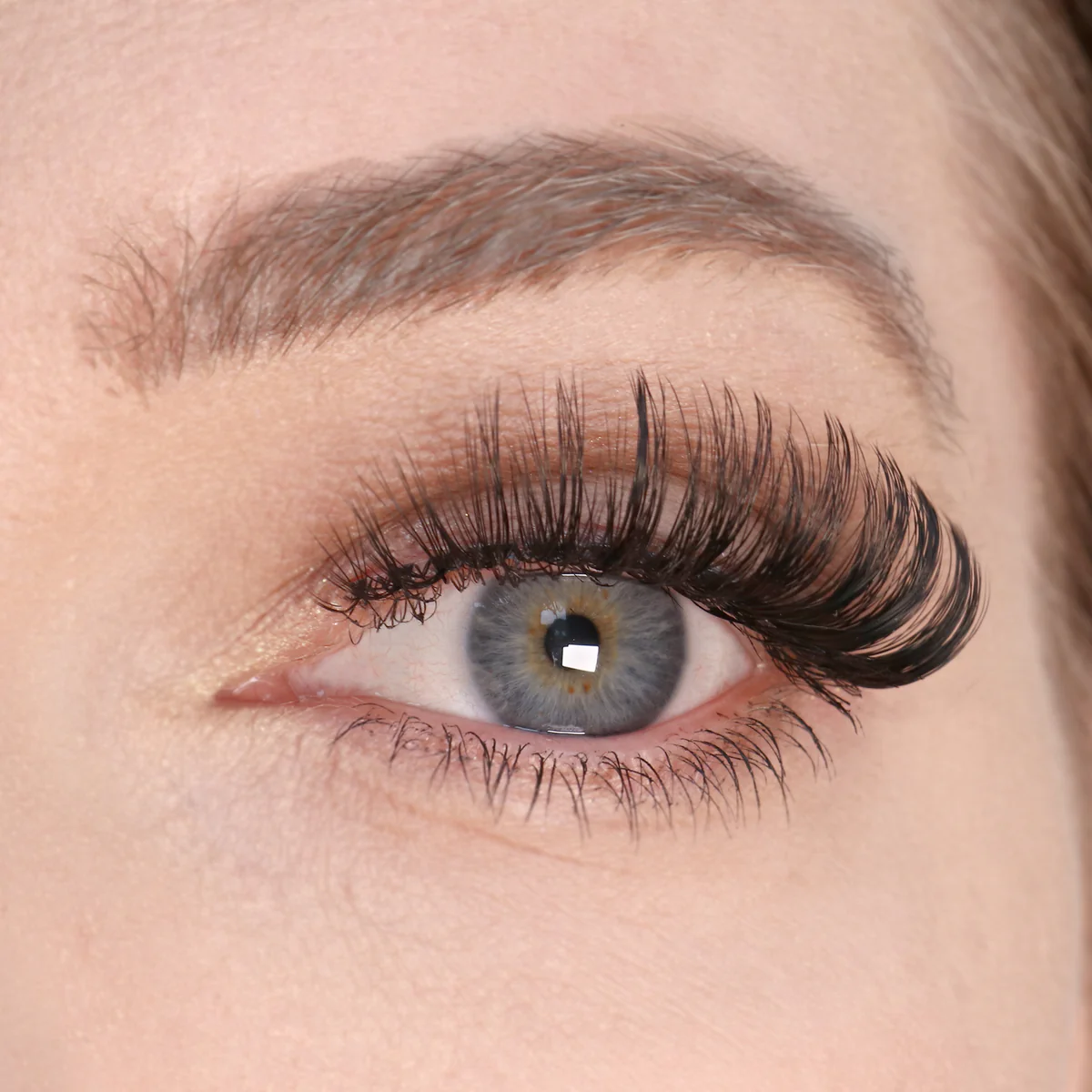 Schönheit im Fokus: Hochwertige Lashes Produkte für Wimpernstylisten