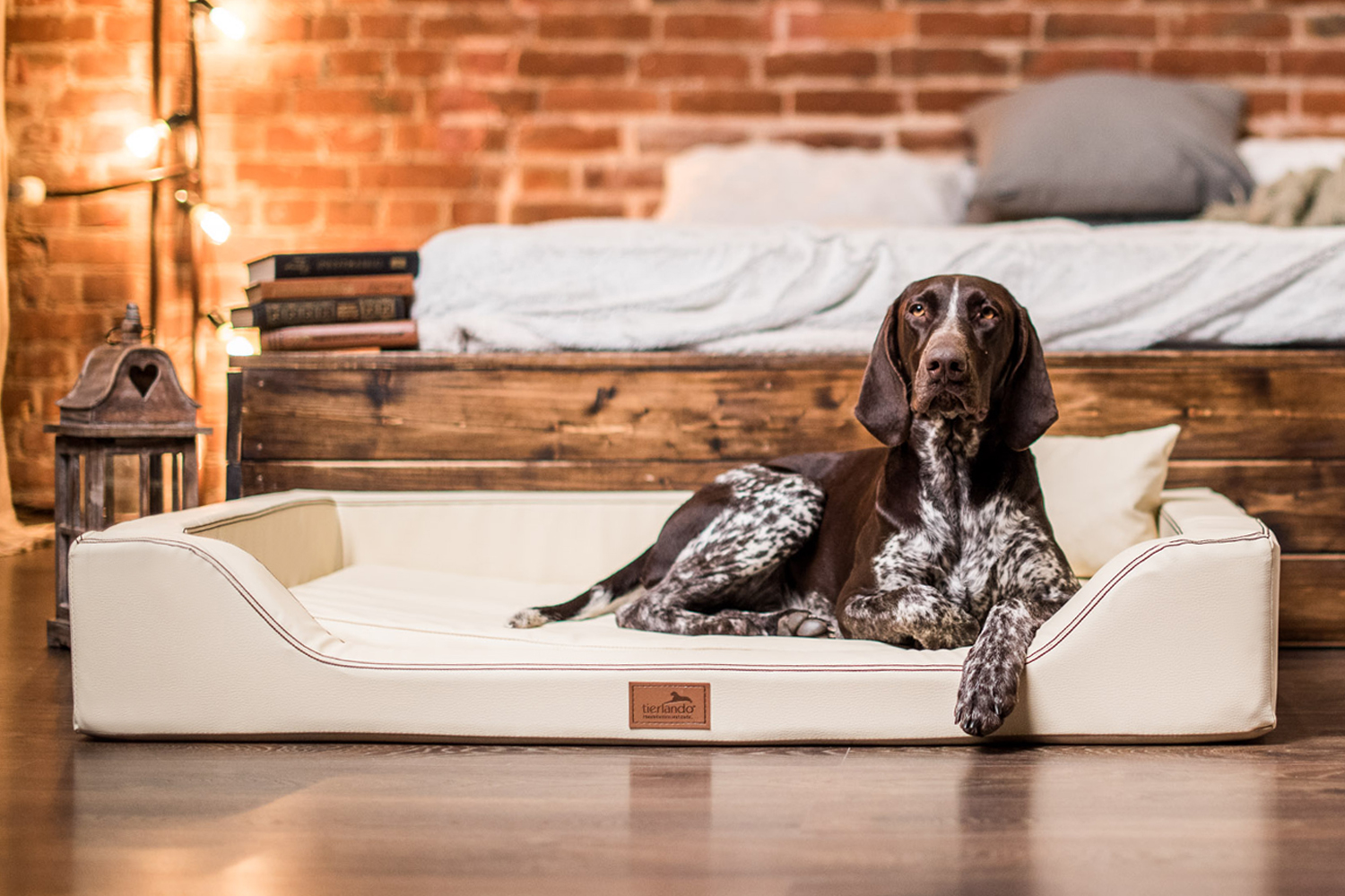 Orthopädisches Hundebett-Stile: Welcher passt am besten zu Ihrem Zuhause?