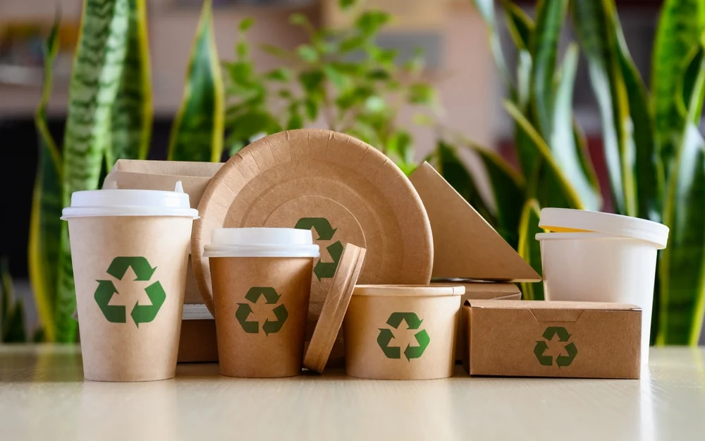 Schnell und unkompliziert: Bio-Geschirr von Fast-Pack für umweltbewusste Kunden!