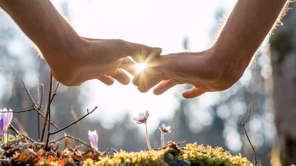 Die tropische Astrologie: Ein Einblick in den Tierkreis und seine symbolische Bedeutung